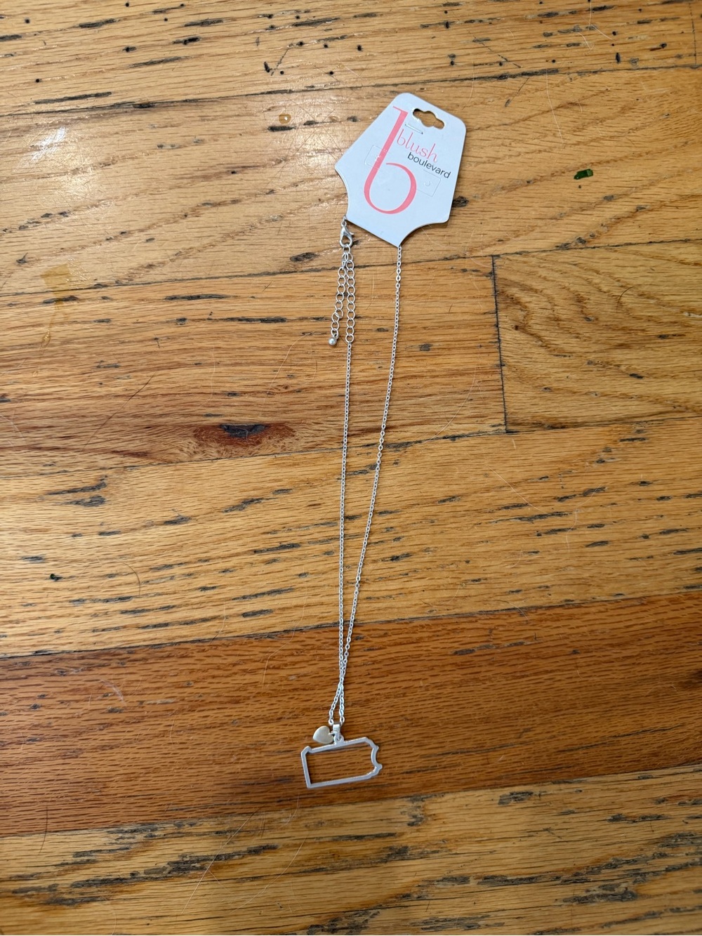 Blush Boulevard Silver Pennsylvania Necklace